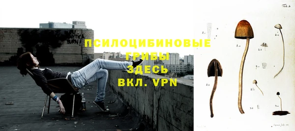 прущий лед Абаза