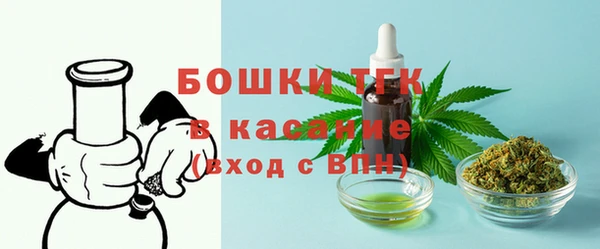 прущий лед Абаза