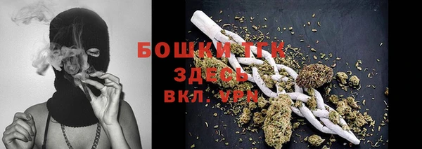 прущий лед Абаза